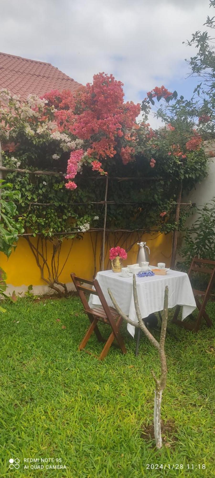 Quinta Rosita Bed and Breakfast Ticul Eksteriør billede