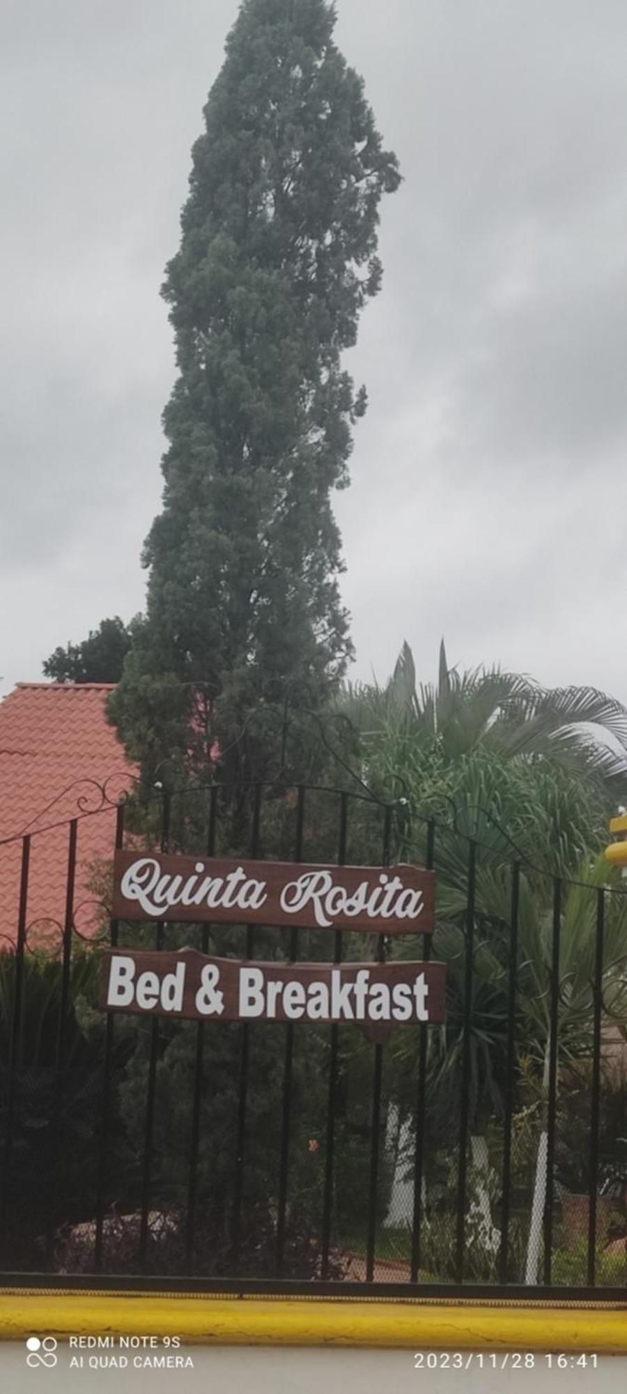 Quinta Rosita Bed and Breakfast Ticul Eksteriør billede