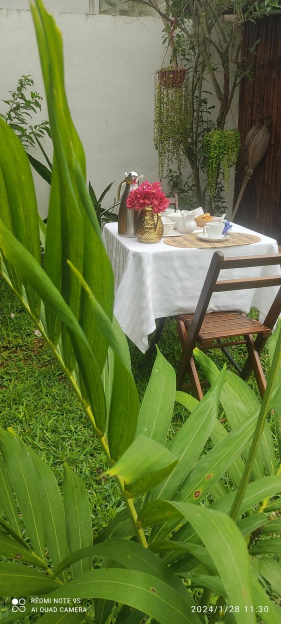 Quinta Rosita Bed and Breakfast Ticul Eksteriør billede